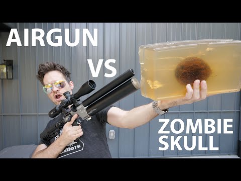 Zombie Hunting with the HP Max Airgun