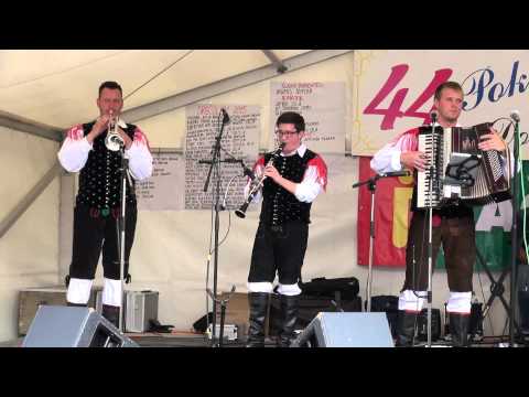 Ansambel Amadeus (Turnišče)-Veseli muzikant (v živo)