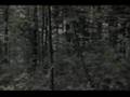Shadow People In 1997 Emerson
