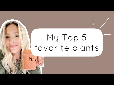 My 5 favorite plants of ALL TIME. You might be surprised!
