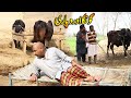 Airport Goonga Wapari Helmet New Top Funny Punjabi Comedy Video 2022 Chal TV