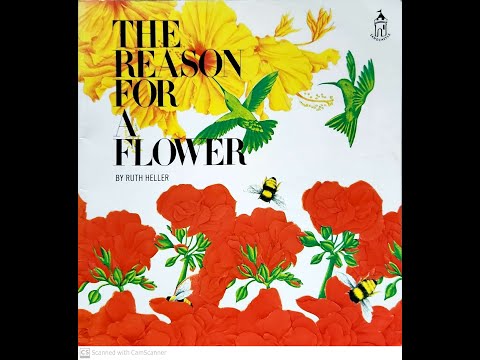 Read Aloud- The Reason For a Flower by Ruth Heller