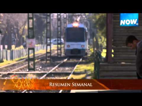 NowHD | Resumen semanal de Camino al Amor