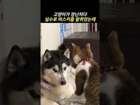 실수로 한대 쳤더니