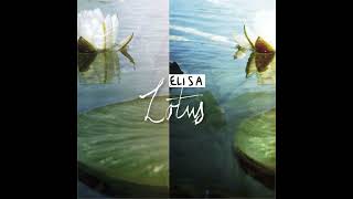 Elisa - Interlude