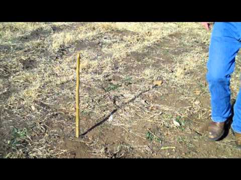 How to find north with the sun.