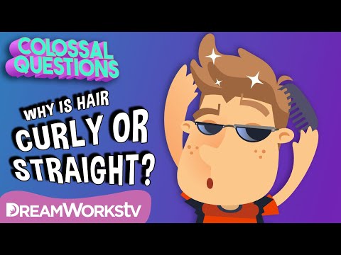 What Makes Hair Curly or Straight? | COLOSSAL QUESTIONS