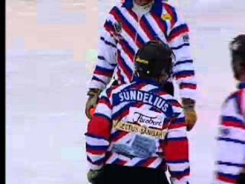 Final Edsbyn-Hammarby 21 mars 2004