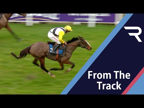 WIN MY WINGS takes flight late on to win a race of ever-changing fortunes - Racing TV