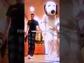 Ian Freestyle Dance Trend