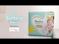 Babies Love Soft Our Softest Pampers Premium Care Pants