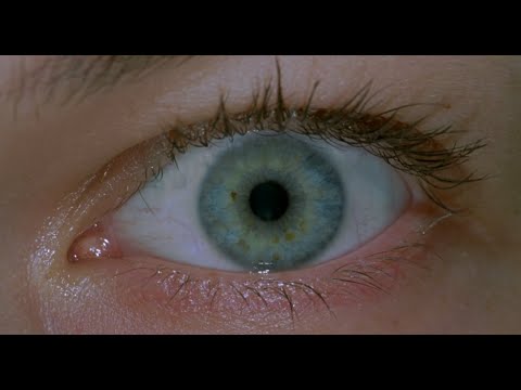 Raccoon City (Aether & Sizzlebird feat. Veela)