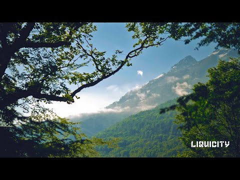 Telomic - Ups and Downs (ft. Rhode)