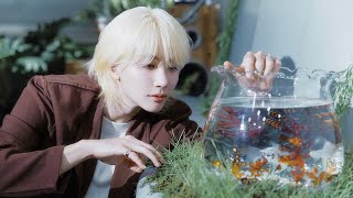 Download lagu BETTER HALF - Jeonghan feat. Omoinotake ( Tradução PT/BR) mp3 Download lagu BETTER HALF - Jeonghan feat. Omoinotake ( Tradução PT/BR) mp3