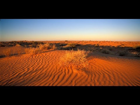 Simpson Desert Tour Video