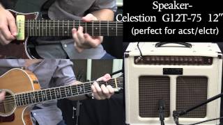Rivera New Sedona Lite demo w/ acoustic and electric guitars played by Josh Gooch