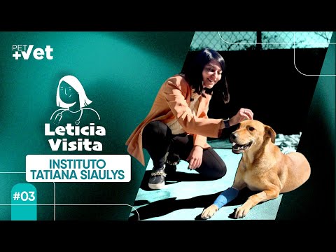 Um Dia no Instituto Encontrei um Amigo - Leticia Visita #3