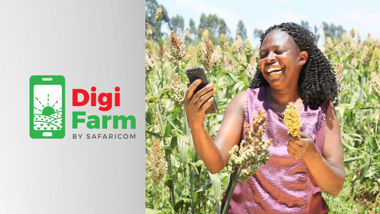 DigiFarm Aggregation in Makueni, Migori, Kakamega and Bungoma – Feb 2020