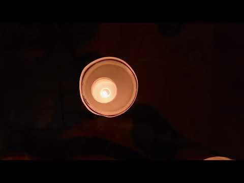 Ljubav se rodila - Veritas