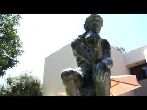 Damien Wilson Spin edit