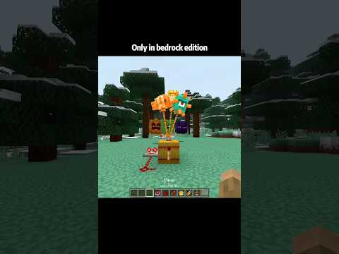 Minecraft Bugrock Moments