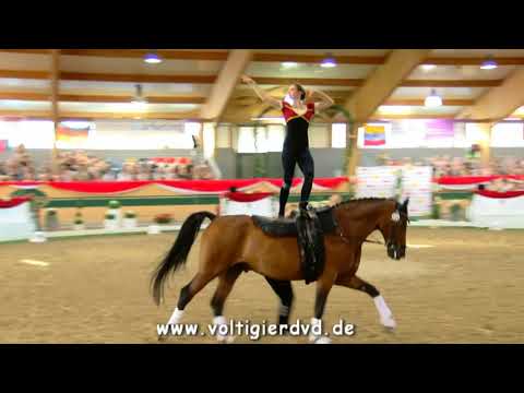 Team Great Britain (GBR) - FEI Senior EC Ebreichsdorf 2017 - Squad 08