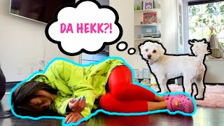 PRETENDING TO FAINT IN FRONT OF MY DOG!!