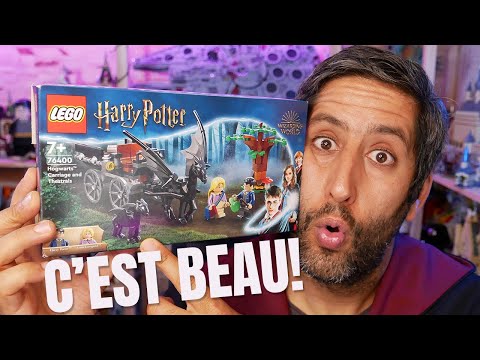 LEGO 76400 Harry Potter La Diligence et Les Sombrals de Poudlard, Jouet et  Minifigurine de Chevaux et de Calèche pour Enfants de 7 Ans et Plus :  : Jeux et Jouets