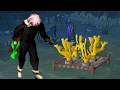 Coral Nursery Farming Guide OSRS