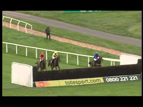 Cheltenham 2012: Arkle Chase Preview