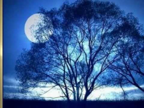 Paulo Tapajós - ONTEM, AO LUAR - Catullo da Paixão Cearense-Pedro de Alcântara