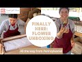 Farmer Bailey Flower Plug Unboxing: Lisianthus