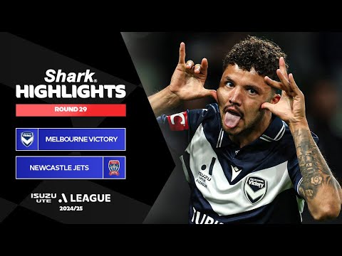 bg-highlight