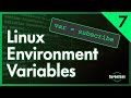 Linux For Programmers 7 Environment Variables