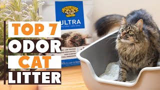 7 Best Cat Litter Brands for Odor Control: Find Your Perfect Fit