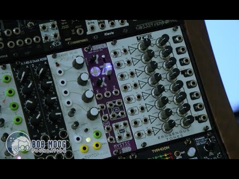 2025 Eurorack Raffle - Envelopes and Amps! Doepfer, Tip Top Audio, Erongenous Tones, Mystic Circuits
