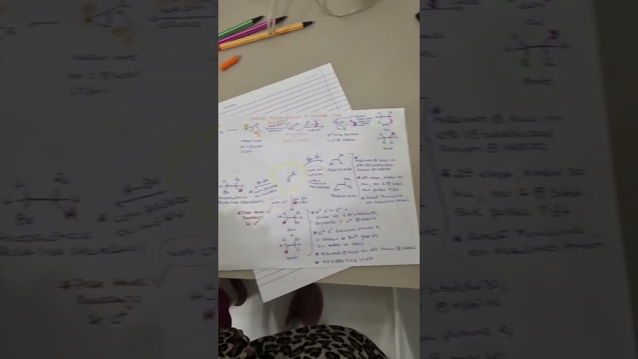 Organizar, resumir e conquistar ❤️🫡