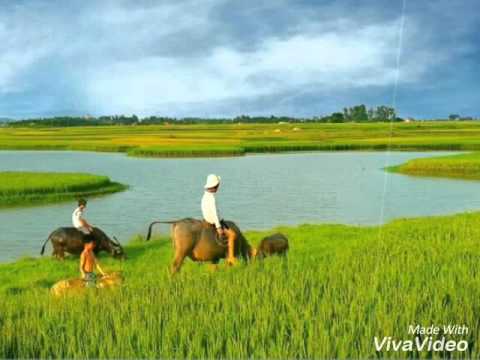 Thể hiện bởi Trường Đức