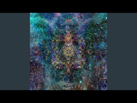 Sonic Anomaly (SOM Remix)