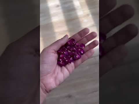 Pregatiri de iarna (trandafiri de damasc uscati)