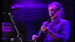 Larry Carlton - Solos (Hill Street Blues / Kid Charlemagne / Don't Take Me Alive / and...)