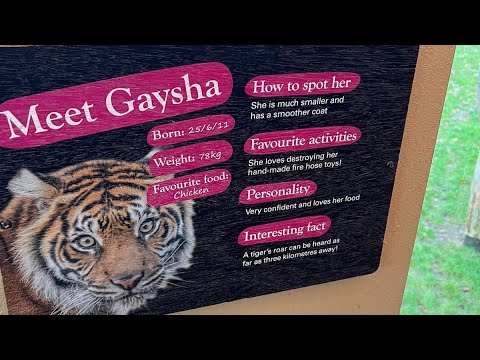 London Zoo Walking Tour London Uk 2023