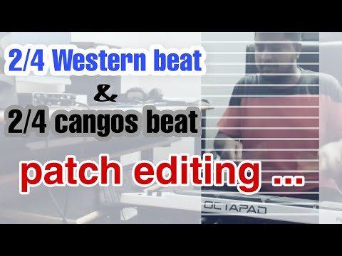 2/4 Patch Editing in SPD 30