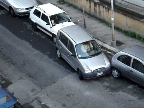 Mistrz parkowania
