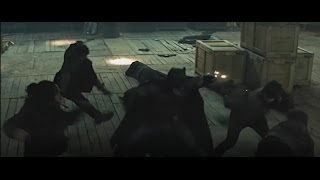 Who's The Batman? Fan Made Video
