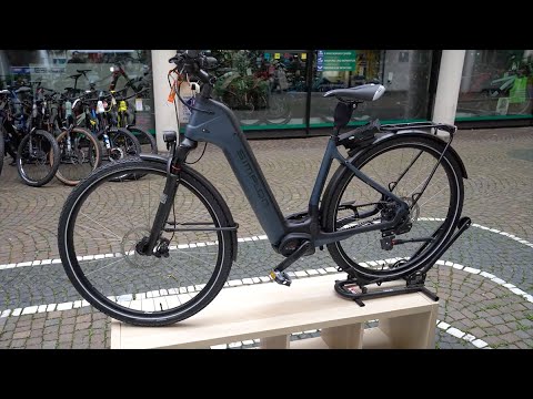 E-Bike Simplon Chenoa Bosch CX Rohloff E14 Trekking Bosch Mittelmotor Performance CX Review