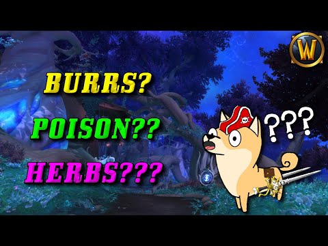 Night Fae Rogues: Burrs, Poison, or Herbs? (Niya Soulbind Renown 30 Unlocked this week)