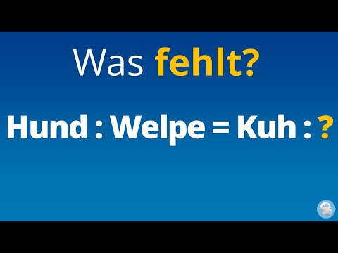 Logiktest - Wortanalogien / Sprachanalogien | Sprachliche Logik