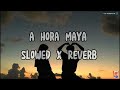 A Hora Maya Slowed Reverb January Lo Fi Annu Chaudhary