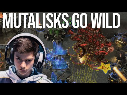 Bly's Mutalisk Give Clem Nightmares | Bly (Z) vs Clem (T)